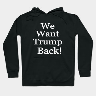 we want trump back 2024 Hoodie